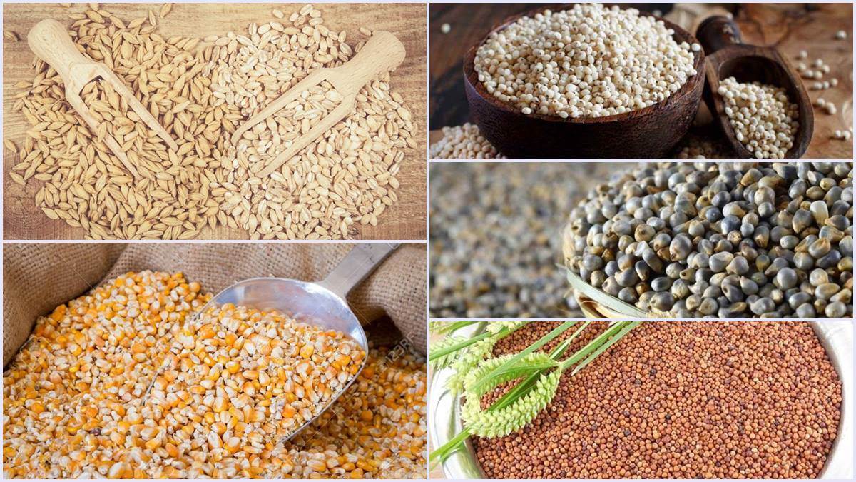 Know the benefits of coarse grains in winter